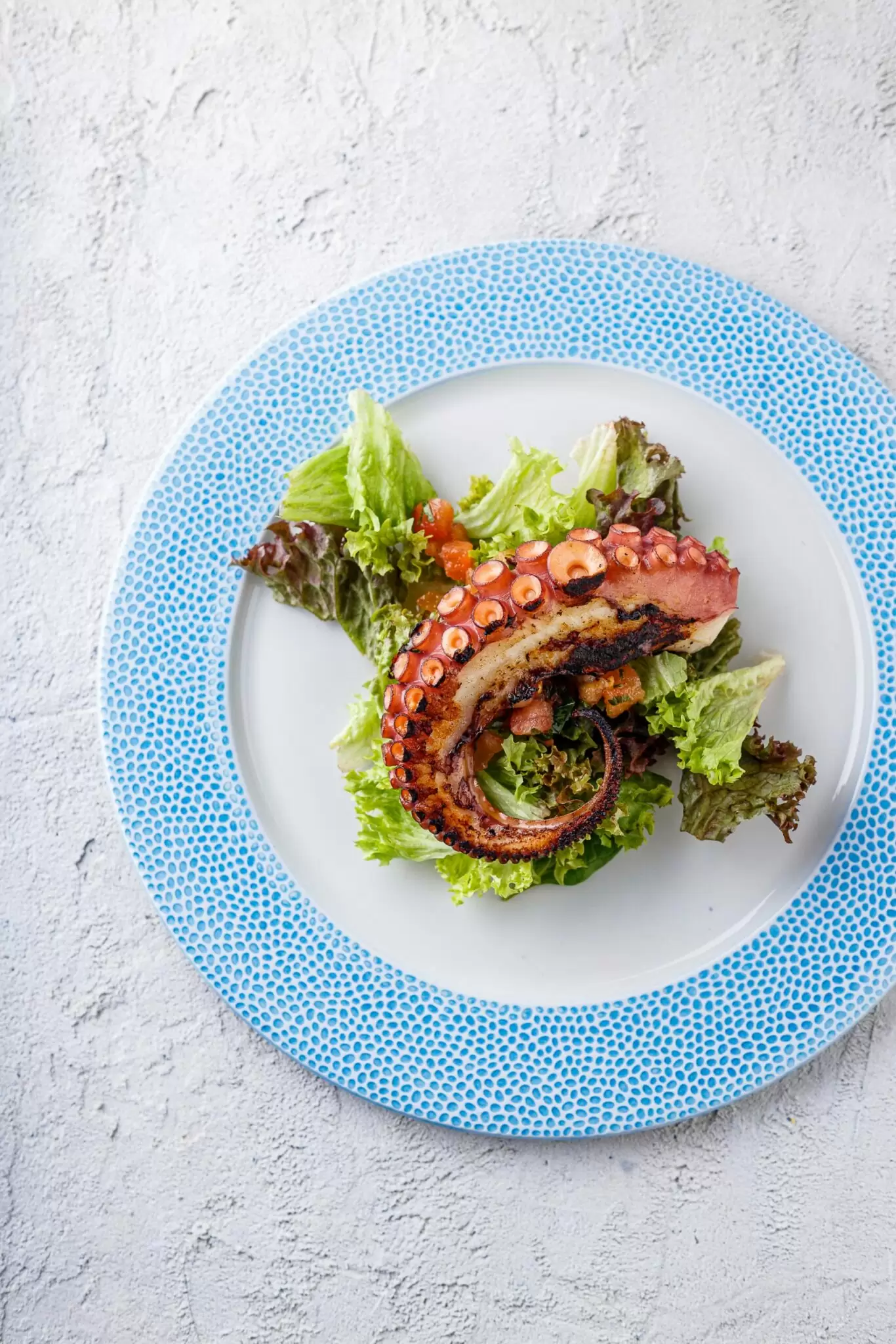 Середземноморский восьминіг-гриль з томатами конкассе на подушці з мікс салату